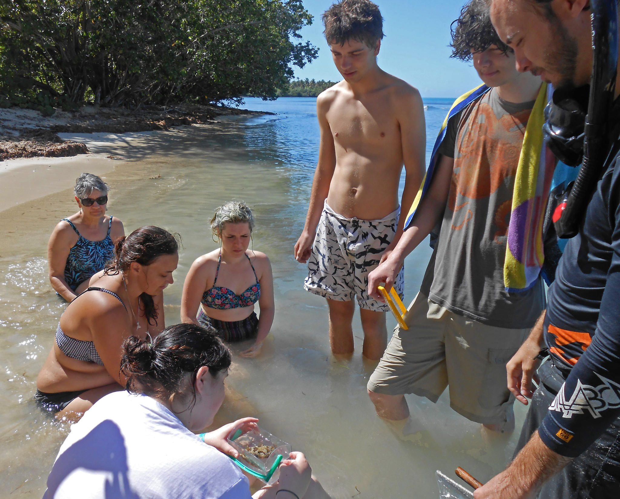 Students doing marine biology research in Puerto Rico during an Intensive