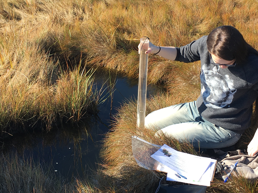 Student researching water sustainability at the Wells Reserve.