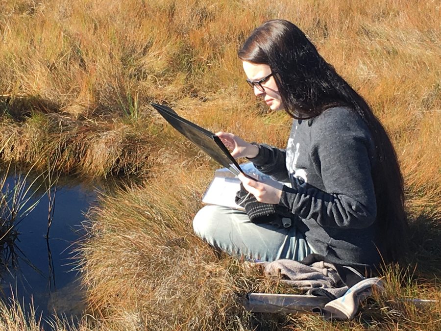 The New School student recording research at the Wells Reserve.