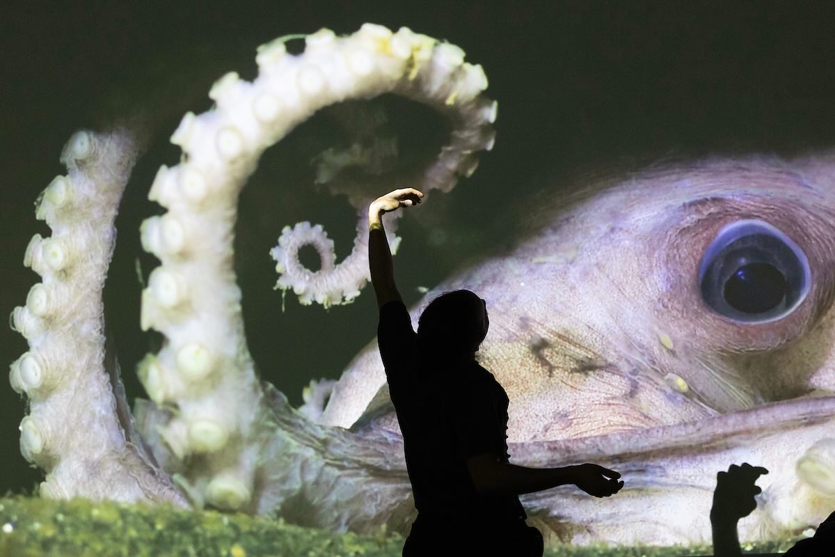 Michel Droge is silhouetted in front of a large image of an octopus.