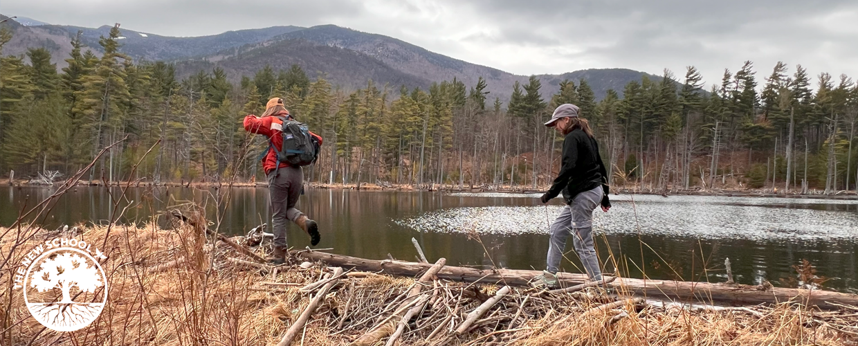 Ecology of the Adirondacks (travel intensive)