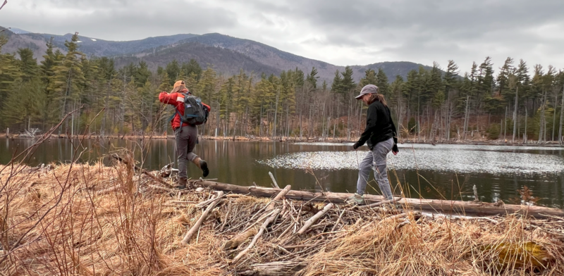 Two students traverse a dam created by beavers in the Adirondacks. Mountains and a heavy, snowy sky are in the background.