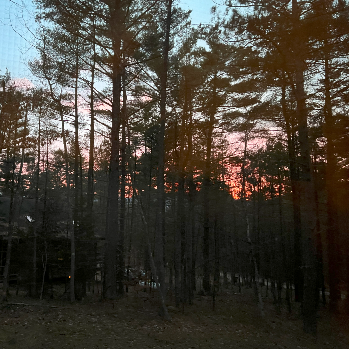 The light of the sunset through the forest near our cabin.