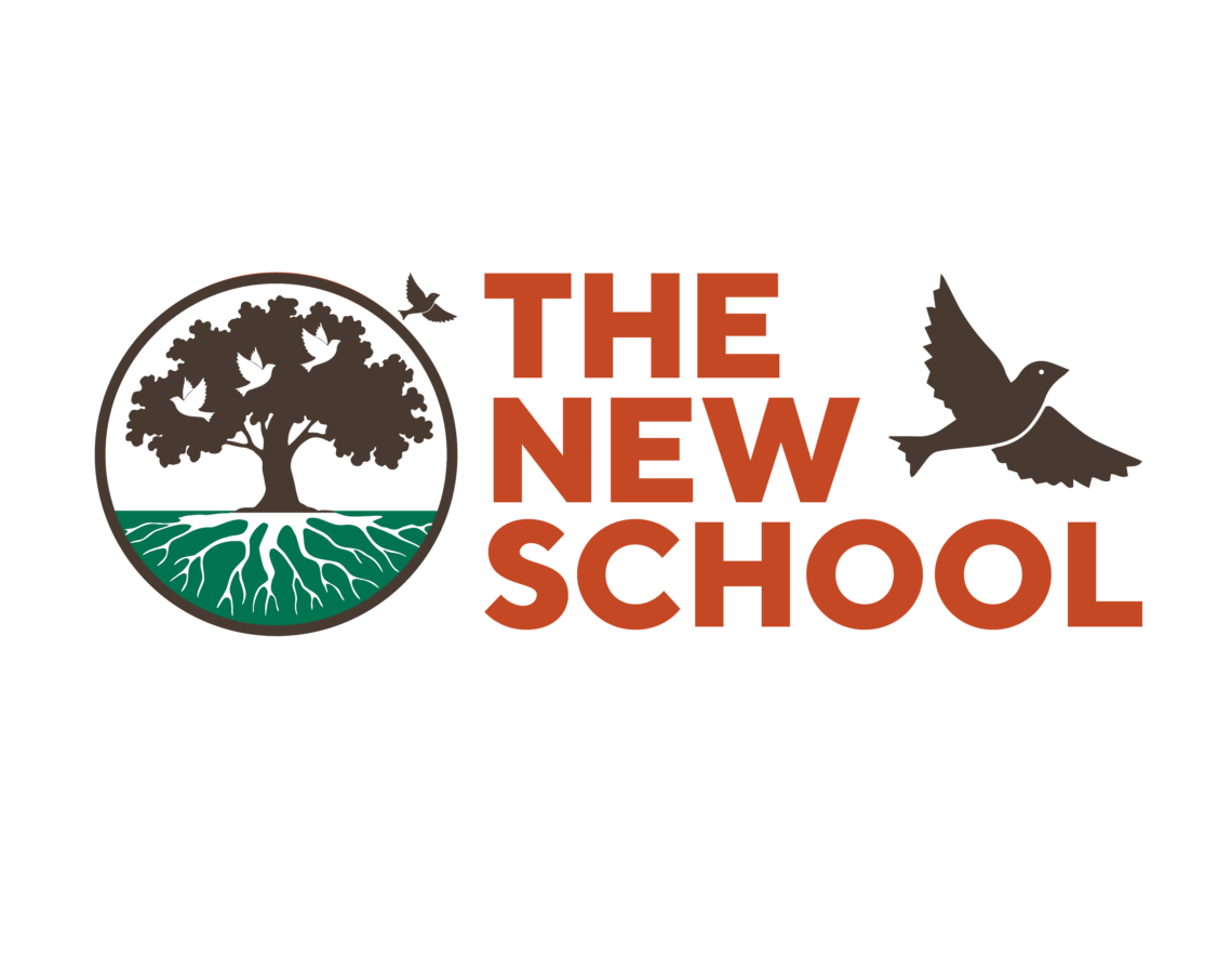 TNS Wordmark and Logo full color