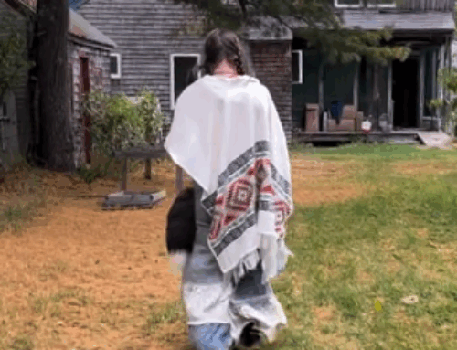 Senior Project Spotlight: Sela