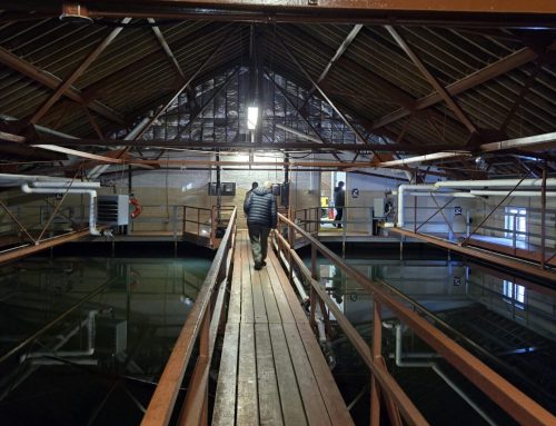 On and Off Campus: Spring Semester